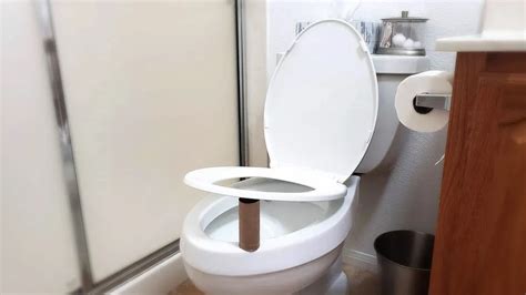 Why Put Toilet Paper Roll Under Toilet Seat: A Curious Exploration of Unconventional Practices